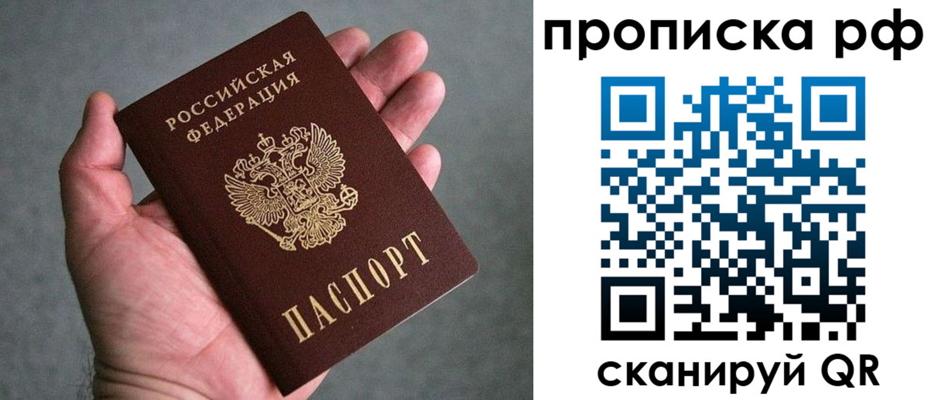 купить прописку в Ногинске